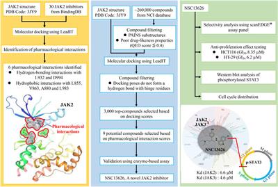 What Is A Jak Inhibitor